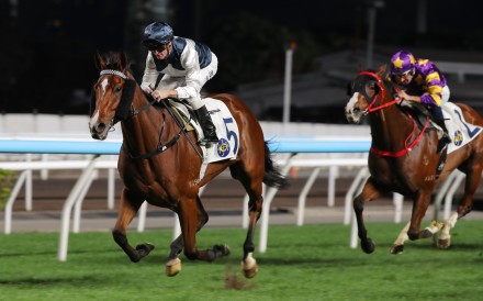 Invincible Ibis saunters to success at Sha Tin. Photos: Kenneth Chan