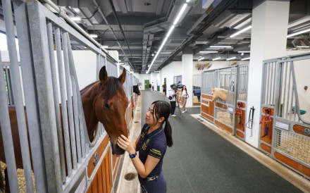 The Hong Kong Jockey Club’s Pokfulam Public Riding School opened in October this year, and the club has proposed building a fourth school in Tsueng Kwan O. Photo: Nora Tam