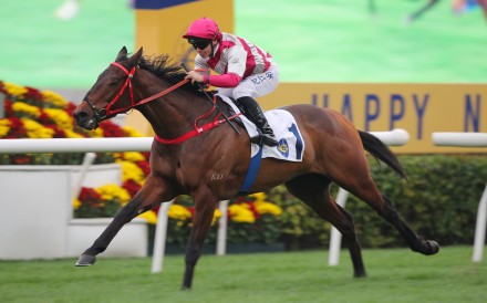 Endued wins at Sha Tin for John Size. Photos: Kenneth Chan