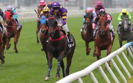 Stellar Express wins at Sha Tin in December. Photos: Kenneth Chan
