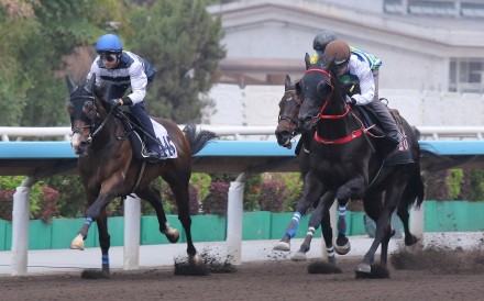 Winfield (left) trials at Sha Tin. Photos: Kenneth Chan