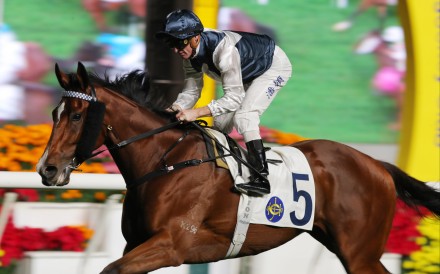 Zac Purton guides Invincible Ibis to a third straight triumph last month. Photos: Kenneth Chan