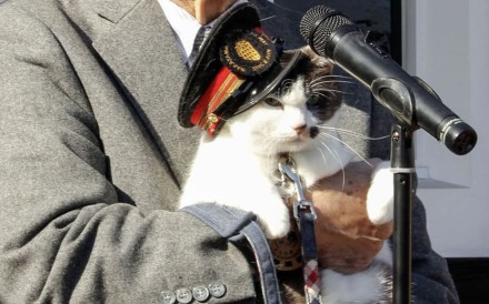 Newly appointed cat stationmaster Yontama is held by Wakayama Electric Railway President Mitsunobu Kojima on Wednesday, in Kinokawa, Wakayama prefecture, Japan. Photo: Kyodo