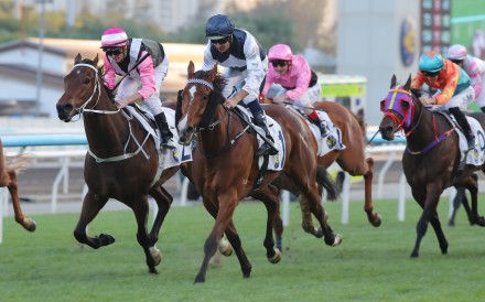 Invincible Ibis storms home under Hugh Bowman to notch a fourth straight win. Photos: Kenneth Chan