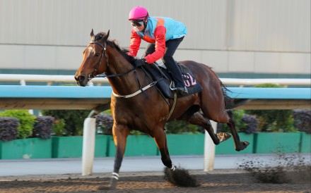 Ka Ying Rising trials impressively at Sha Tin. Photos: Kenneth Chan