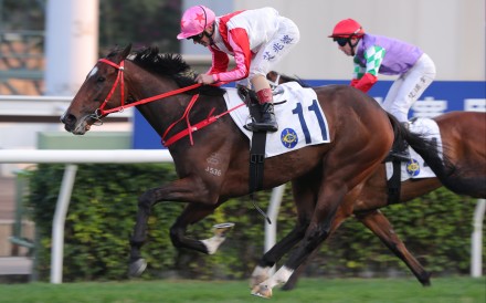 When it comes to naming horses, some breeders and owners get creative by choosing names linked to wealth, luck or health. Photo: Kenneth Chan.