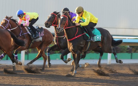 Lucky Sweynesse runs on for third in a recent dirt trial ahead of Sunday’s Stewards’ Cup. Photos: Kenneth Chan