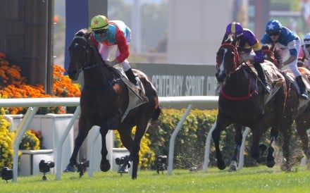 Ka Ying Rising wins at Sha Tin. Photos: Kenneth Chan