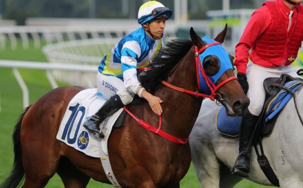 Matthew Chadwick gives Patch Of Cosmo a pat after his Sha Tin victory last March. Photos: Kenneth Chan