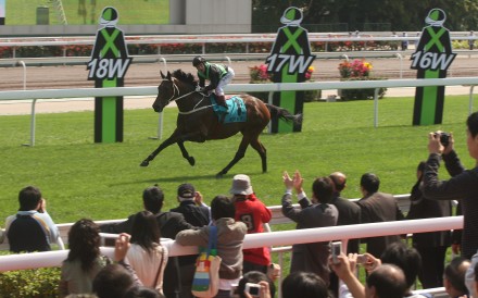 Silent Witness inspired Hong Kong during the dark days of Sars, putting on a streak of remarkable performances. Photo: SCMP