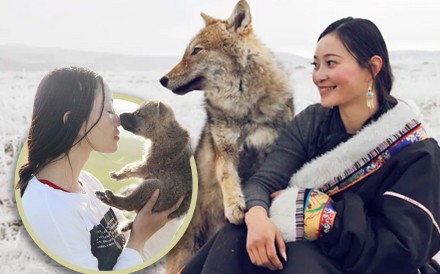 A Chinese woman and her adopted wolf “son” have gained renewed fame recently with the resurgence of the documentary “Return to the Wolf Pack” this year. Photo: SCMP composite/Weibo