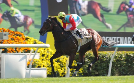 Ka Ying Rising cruises to victory under Zac Purton in the Group One Centenary Sprint Cup. Photos: Kenneth Chan