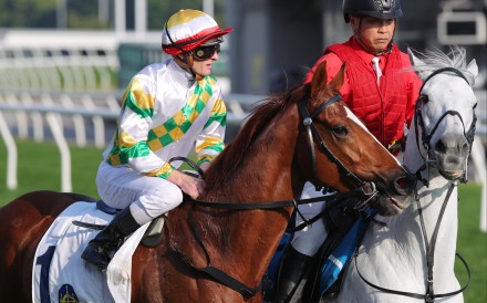 Zac Purton will again ride Sagacious Life in the Classic Cup. Photos: Kenneth Chan