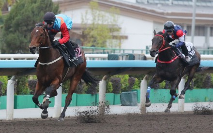 Ka Ying Rising wins a barrier trial at Sha Tin. Photos: Kenneth Chan