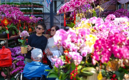 Hundreds of shoppers visited the opening day of the Lunar New Year fair at Victoria Park to check out this year’s offerings at 400 stalls. Photo: Sam Tsang
