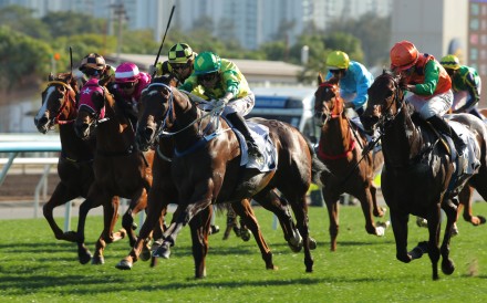 Sky Trust sticks his neck out at Sha Tin. Photos: Kenneth Chan