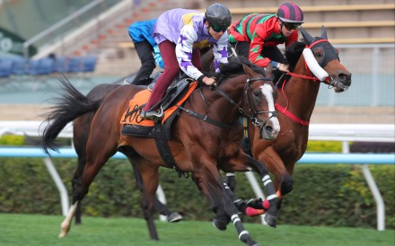 Seraph Gabriel in action in a recent Sha Tin trial. Photos: Kenneth Chan