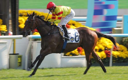 Hot Delight storms home to score on debut under Vincent Ho. Photos: Kenneth Chan