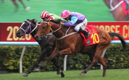 Stunning Peach gets up on the outside of Top Dragon to narrowly win the Year Of The Horse Cup. Photos: Kenneth Chan