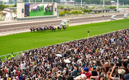 The opening race day of the Year of the Horse drew large crowds to Sha Tin Racecourse. Photo: Eugene Lee