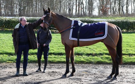 Harry Redknapp and his horse The Jukebox Man, who is vying to be the favourite at the Cheltenham Gold Cup. Photo: AFP