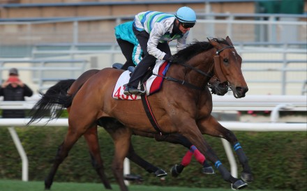 Voyage Bubble fends off Romantic Warrior to win a Sha Tin trial last week. Photos: Kenneth Chan