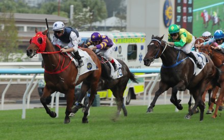 Fast Network runs riot at Sha Tin. Photos: Kenneth Chan