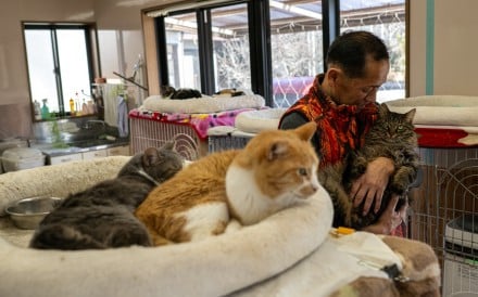 This picture taken on March 5, 2026 shows former nuclear plant worker Toru Akama playing with a cat during an interview with AFP at his animal shelter in Namie, Fukushima prefecture. Not far from the Fukushima nuclear disaster site, former plant worker Toru Akama tends to dozens of pets abandoned after the catastrophe 15 years ago, work he sees as part of his quest for redemption. (Photo by Philip FONG / AFP) / TO GO WITH ‘JAPAN-NUCLEAR-ANIMAL-FUKUSHIMA’ BY MATHIAS CENA