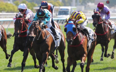 Turquoise Velocity ridden by Keith Yeung dead-heating with We Are Hero ridden by Jerry Chau. Photos: Kenneth Chan