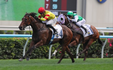 Hot Delight and Vincent Ho triumph at Sha Tin. Photos: Kenneth Chan.