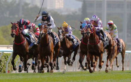 Numbers (inside) and Stormy Grove (outside) fill the placings behind Invincible Ibis in the Derby. Photos: Kenneth Chan