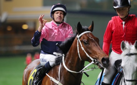 Beauty Viva, ridden by Hugh Bowman, return at Happy Valley. Photos: Kenneth Chan.