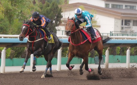 Romantic Warrior (outside) surges past Red Lion to win a dirt trial. Photos: Kenneth Chan