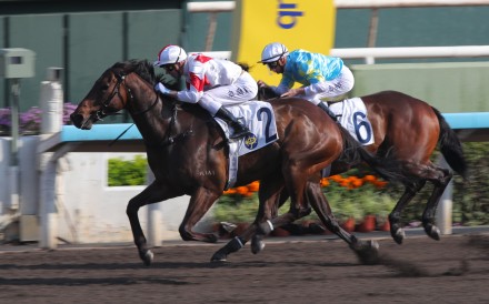 Magnifique and James Orman win a strong Class Three at Sha Tin. Photos: Kenneth Chan