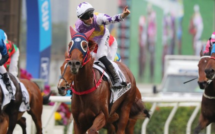 Stormy Grove is one of four withdrawals from the QEII Cup. Photos: Kenneth Chan