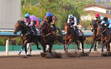 Little Paradise (inside) holds off Red Lion to win a Sha Tin trial on Thursday. Photos: Kenneth Chan