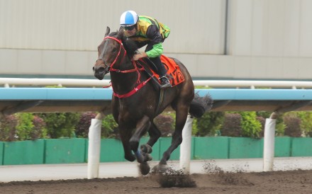Mapogo wins his most recent trial at Sha Tin impressively with Hugh Bowman aboard. Photos: Kenneth Chan
