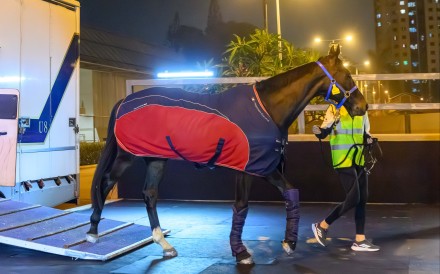 Royal Champion arrives in Hong Kong ahead of the QEII Cup. Photo: HKJC