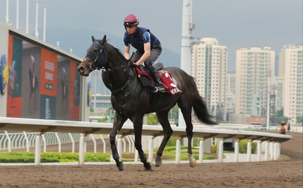 Comanche Brave gallops at Sha Tin on Tuesday. Photos: Kenneth Chan