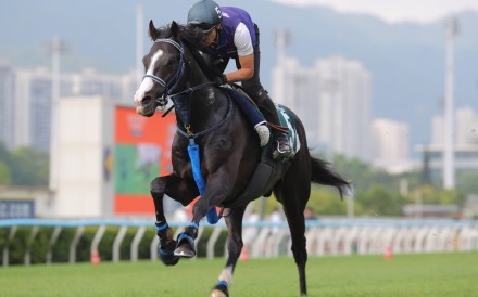 QEII Cup runner, Masquerade Ball, stretches out at Sha Tin. Photos: Kenneth Chan