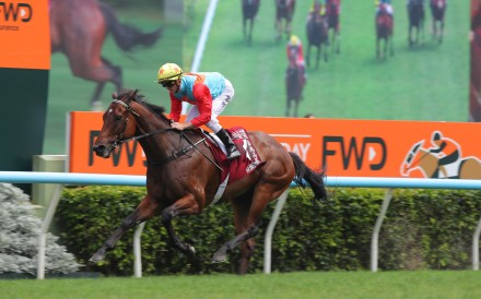Ka Ying Rising easily won the Group One Chairman’s Sprint Prize on Champions Day at Sha Tin. Photo: Kenneth Chan.