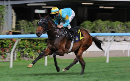 Giant Ballon, ridden by Zac Purton, goes back-to-back at Happy Valley. Photos: Kenneth Chan.