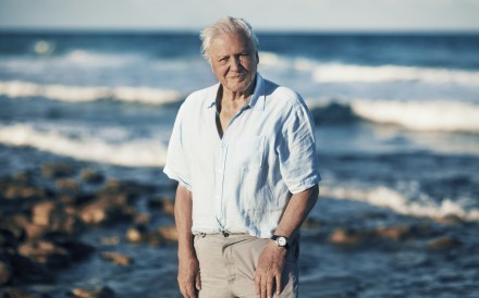 Naturalist David Attenborough’s documentaries have made generations of viewers “care about nature”. Here’s how, ahead of his 100th birthday on May 8. Photo: Blue Planet II
