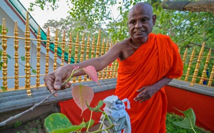 Senior Sri Lankan Buddhist monk Pallegama Hemarathana. File photo: AFP