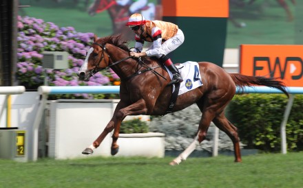 Geneva, ridden by Hugh Bowman, wins at Sha Tin. Photos: Kenneth Chan