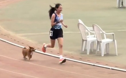 A stray puppy became an overnight internet sensation after a video of it entering the track to accompany a female student at the end of her 3,000-metre race gained millions of views. Photo: bjnews.com.cn