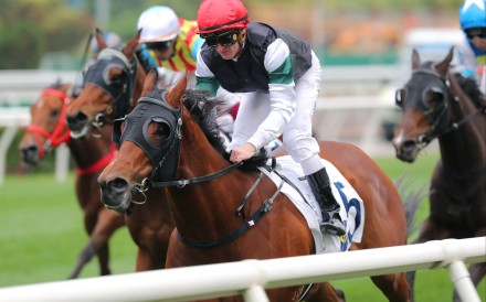 La Forza, ridden by Zac Purton, wins at Sha Tin. Photos: Kenneth Chan