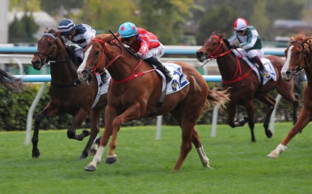 Happy Shooter, ridden by Lyle Hewitson, wins at Sha Tin. Photos: Kenneth Chan.