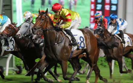 Hot Delight, ridden by Vincent Ho, wins at Sha Tin. Photos: Kenneth Chan