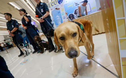 The dog unit was set up five years ago. Photo: Jonathan Wong